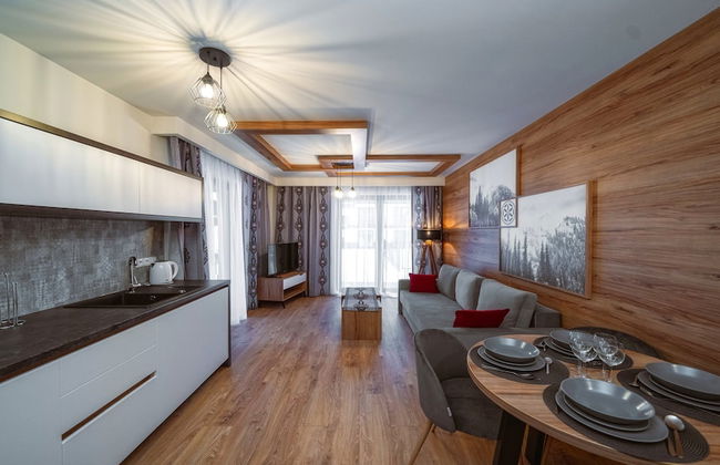 Sun & Snow Resorts C Białka Tatrzańska - Foto 46