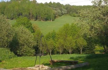 Dom Wakacyjny Brzozowy Gaj Bieszczady - Foto 21