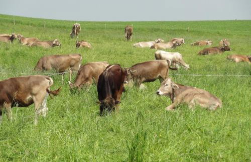 Ferienwohnung Heuboden - Foto 6