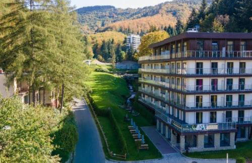 Kurort Kozubnik Apartament 33 Wellness &SPA - Foto 47