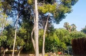 Charming Villa in El Vendrell + Pool - Foto 15