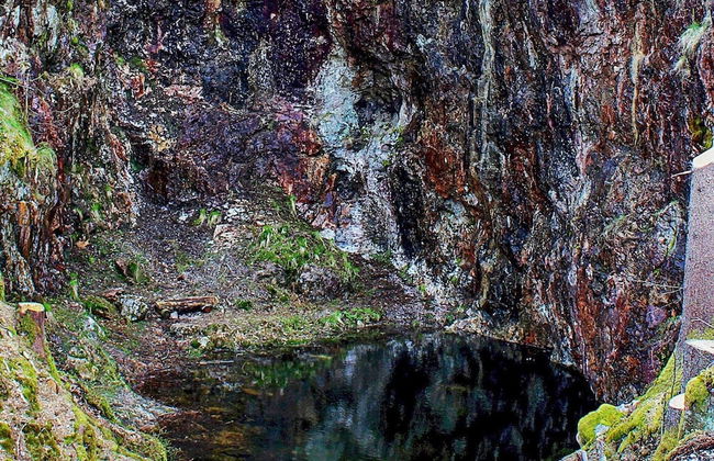 6 Person Holiday Home in Holsljunga-by Traum - Photo 3