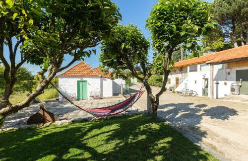 Casa Sardão - Foto 28