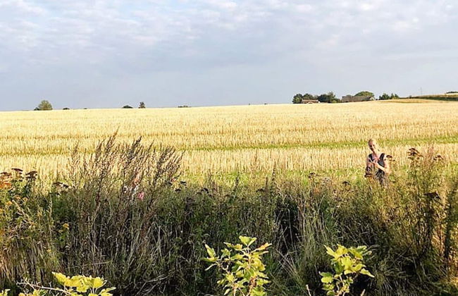 5 Person Holiday Home in Praesto - Foto 28