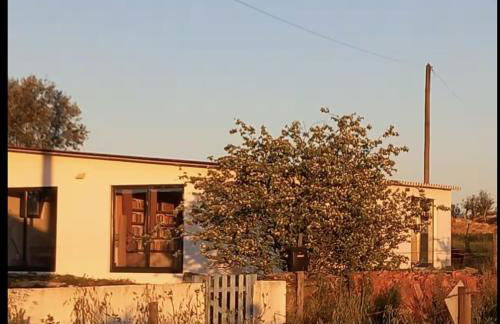 Monte das Doceitas - Foto 22