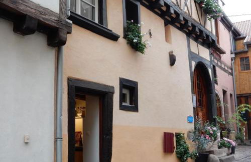 Apartment in Riquewihr near Vineyards - Foto 11