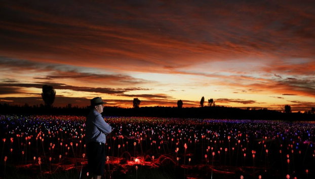 Uluru Sonnenaufgang und Field of Light – Tour in kleiner Gruppe - Foto 4
