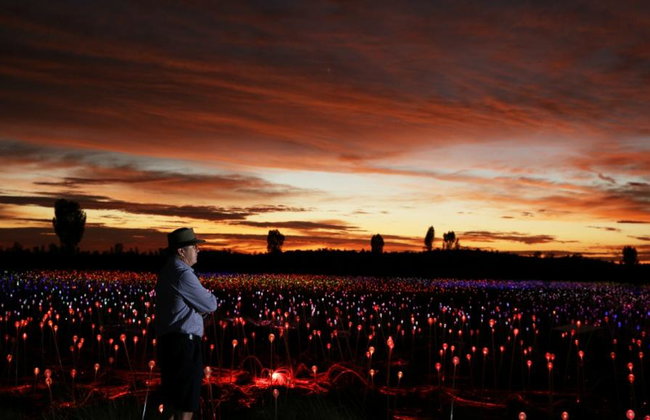 Uluru Sonnenaufgang und Field of Light – Tour in kleiner Gruppe - Foto 4