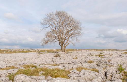 Rose Cottage - Foto 20