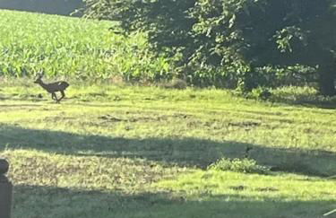 Maison familiale chaleureuse à Saint-Évarzec avec terrasse - Foto 22