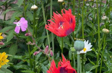 Oulton House - Beautiful Restored 2 Bedroom Property in Spofforth, Harrogate - Foto 7
