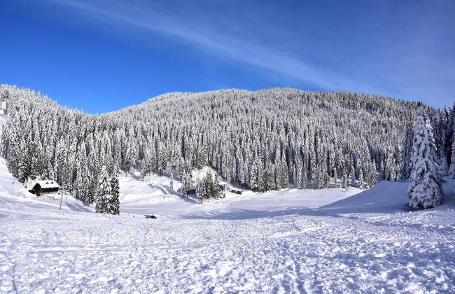 Pool Wellness Chalet Sunshine - Photo 39