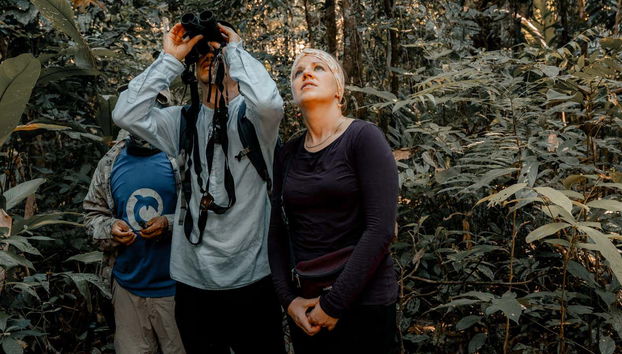 Potremo avvistare bellissimi uccelli dell'Amazzonia
