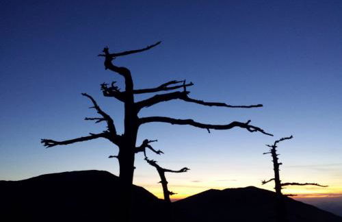 Tana Libera Tutti 2 Nature, Yourself, Love - Foto 33