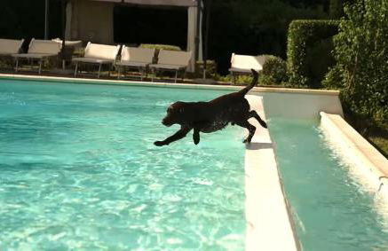 Poggio 3 Lune - Foto 56