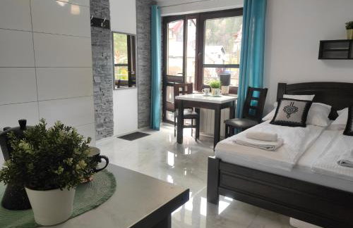 Pokoje i apartamenty u Sabiny - DOSTĘP DO JACUZZI TYLKO W WYBRANYCH OPCJACH sprawdź poniżej szczegóły rezerwacji - Photo 62