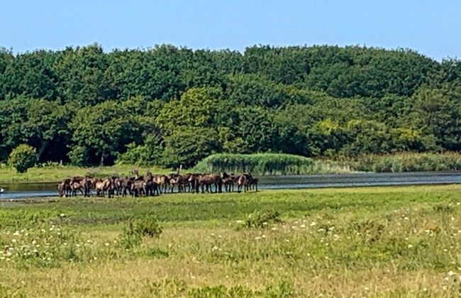 6 Person Holiday Home in Bagenkop-by Traum - Foto 13