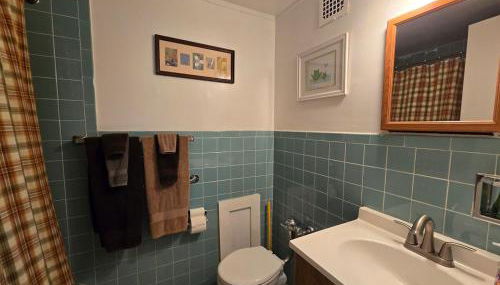 Saranac Lake Studio Apartment - Foto 3