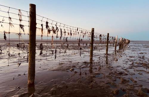 Ferien im Wangerland Ferienwohnung INSEL Minsen Schillig Hund Pool Sauna - Photo 19