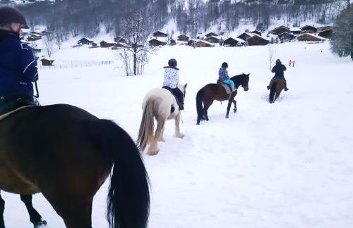 Le Soladret - 2 pièces 4 étoiles - Vue extraordinaire sur les Aravis - Foto 38