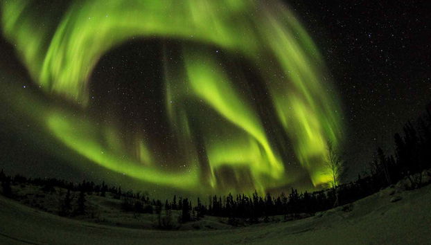 L'aurore boréale dans le ciel du Canada