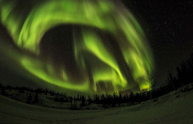 Tour dell'aurora boreale - Foto 5