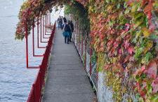 Villa gli Ulivi - Calafate Lake & Mountain View - Foto 50
