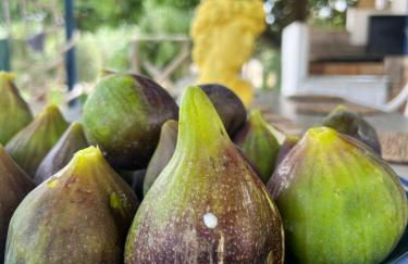 Baglio Mazzara - Foto 21