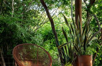 Casa Perobinha - Foto 8