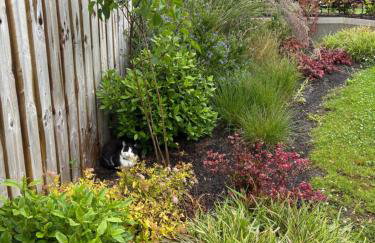 ADI Holiday Home Lurgan - Foto 12