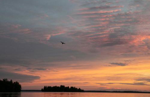 Gorgeous Views, Fishing at Private Cabin on Pelican Lake, Orr MN - Foto 36