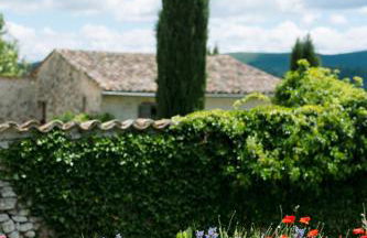 Domaine de la barbeirasse - Foto 33