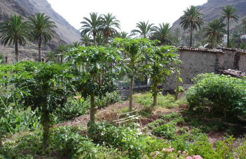 Goyo Gomera Apartments - Foto 61
