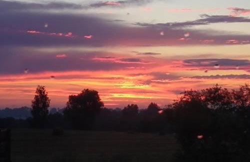 Ptasi Zakątek - Foto 7