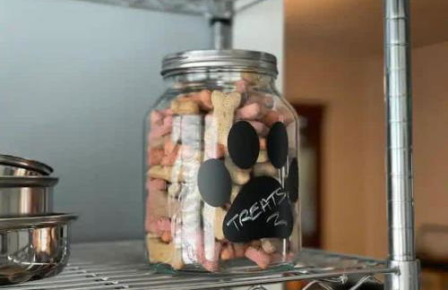 Lakewood Bed & Biscuit - Pet Friendly - Mins to LKWD Park - Foto 15