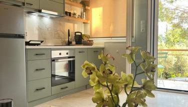 Green Studio House - Foto 1