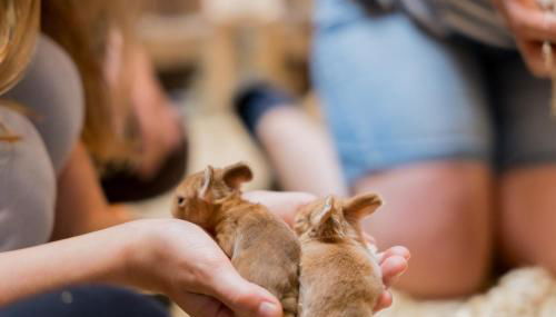 Ferienwohnung Fachwerkhaus - Westen unten - Bauernhof Hopp Vadersdorf - Foto 2