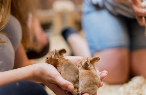 Ferienwohnung Fachwerkhaus - Westen oben - Bauernhof Hopp Vadersdorf - Foto 31