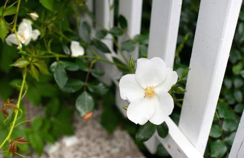 Möve Aba Bungalow 64 - Foto 21