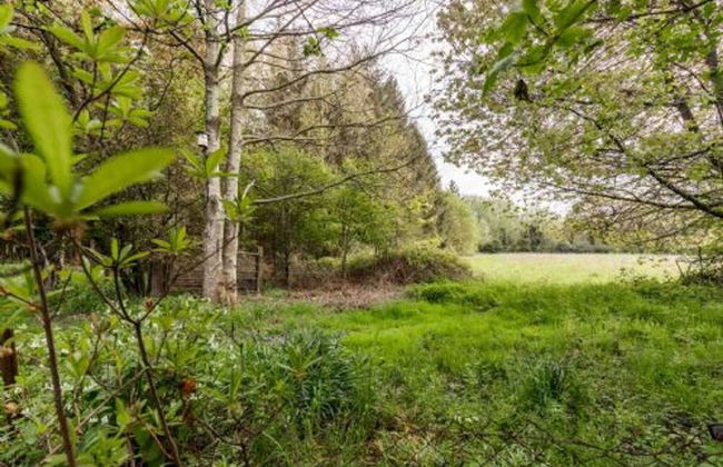 Host Stay Church Close - Photo 14