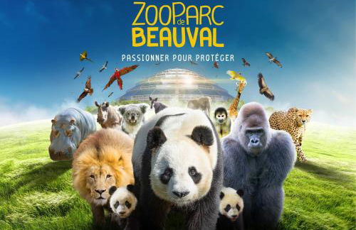 Gite Ecuries Vineuil Jump - Foto 48