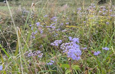 Newly Listed-Private 25-Acre Escape Near Red River Gorge - Foto 140