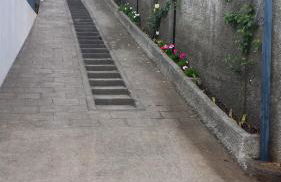 Paraiso das Flores - Foto 18