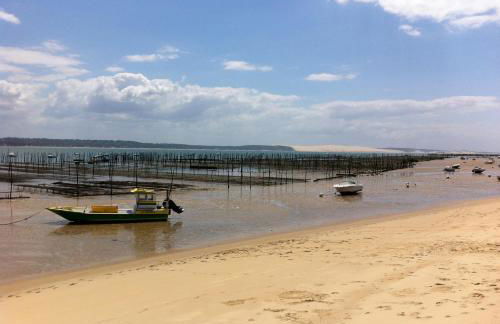 Le petit nid douillet du Bassin T2 - Foto 20