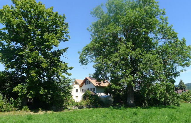 Ferienhaus Oase am Mühlebach - Foto 7