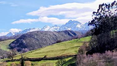 Apartamentos casalola - Foto 3