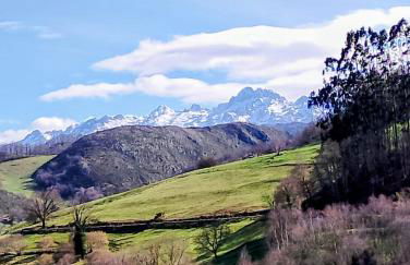 Apartamentos casalola - Foto 3