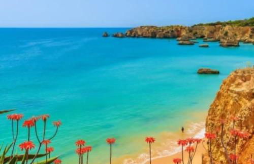 PARAISO DE ALVOR - A true paradise in an amazing nature place with direct access to the pool - Peace and relax - next to Alvor Village and the beach - Photo 30