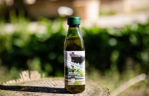 YourHouse Deulosal, apartment in rural house with pool - Foto 11