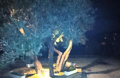 καλύβη - Foto 27